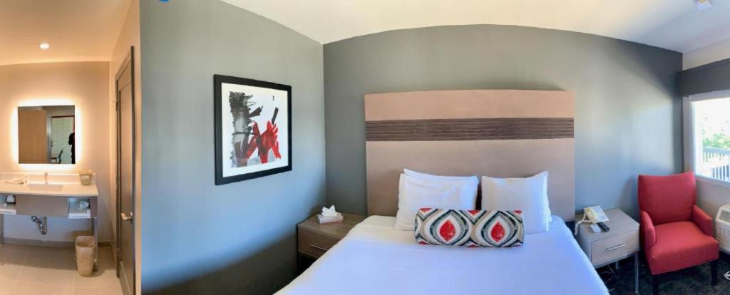 Pacific Motor Inn San José Kültér fotó