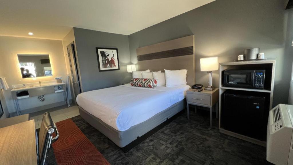Pacific Motor Inn San José Kültér fotó