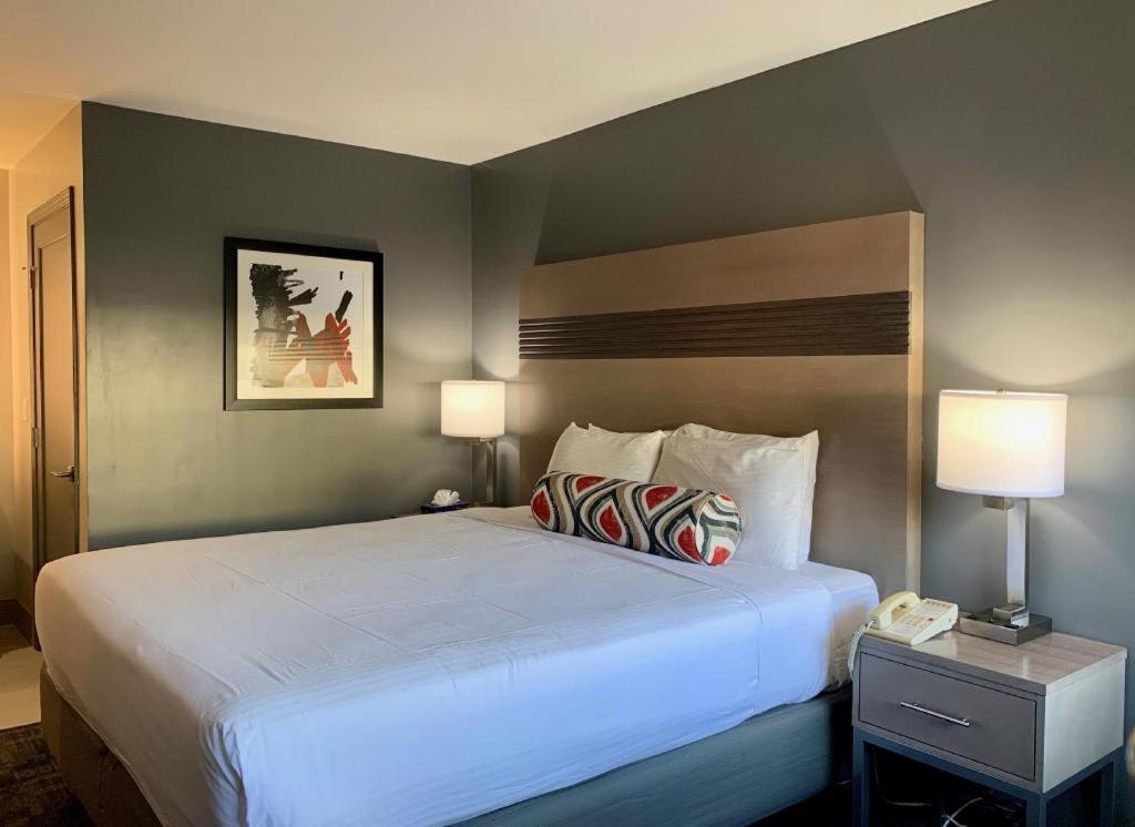 Pacific Motor Inn San José Kültér fotó